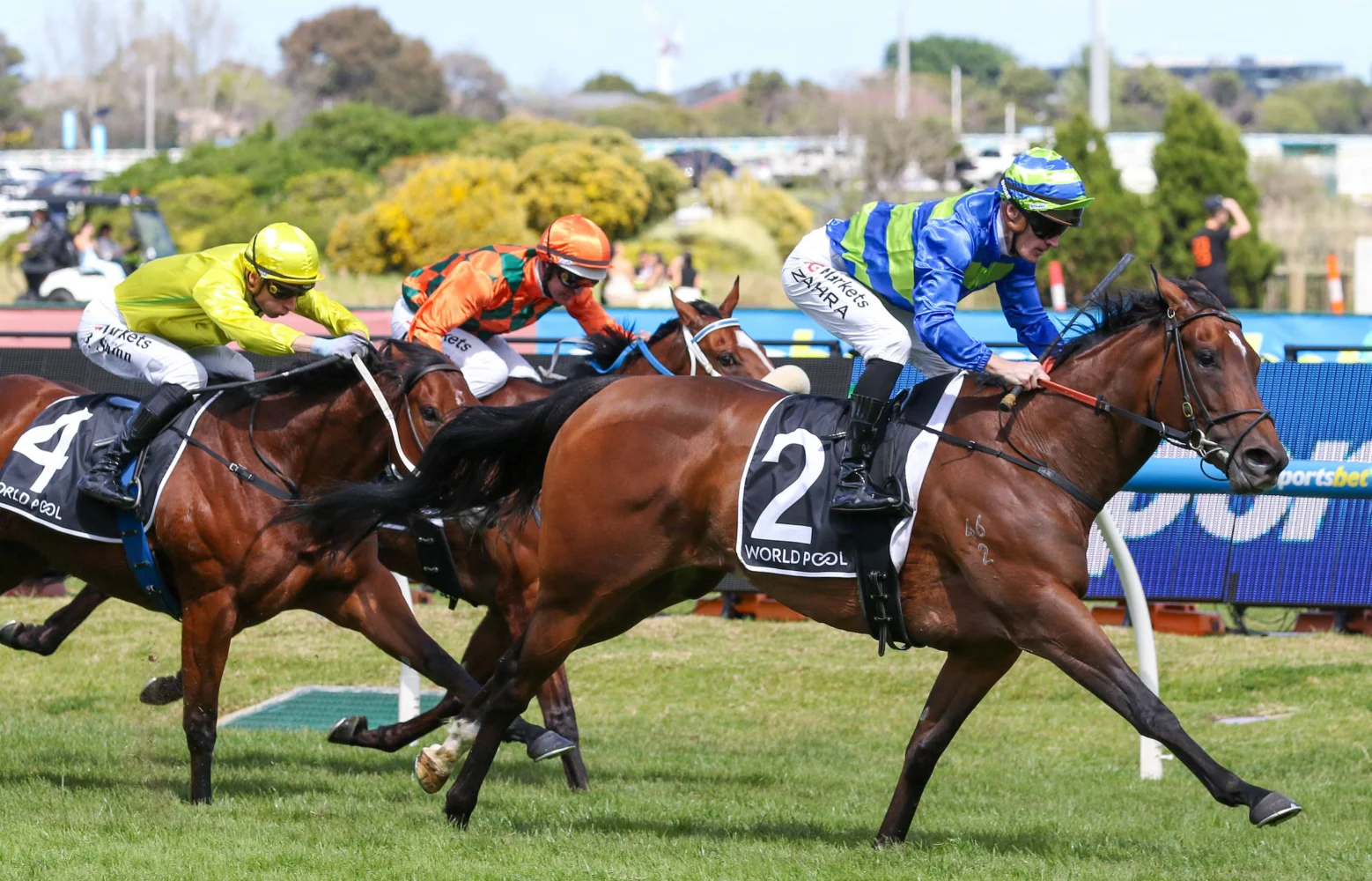 2026 Northwood Plume Stakes winner Point Barrow