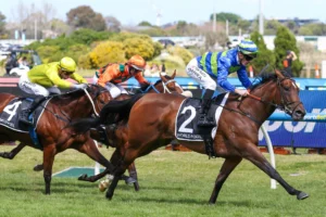 2026 Northwood Plume Stakes winner Point Barrow