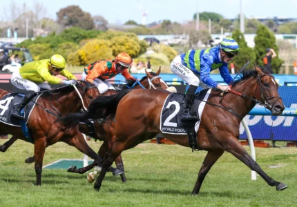 2026 Northwood Plume Stakes winner Point Barrow