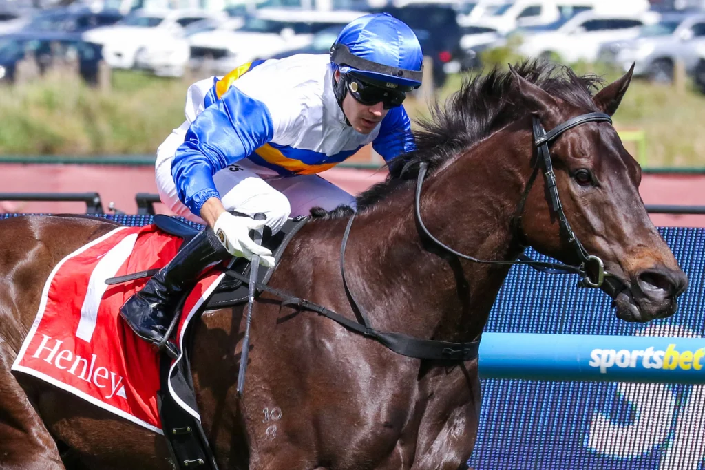 2026 Schillaci Stakes winner Jigsaw