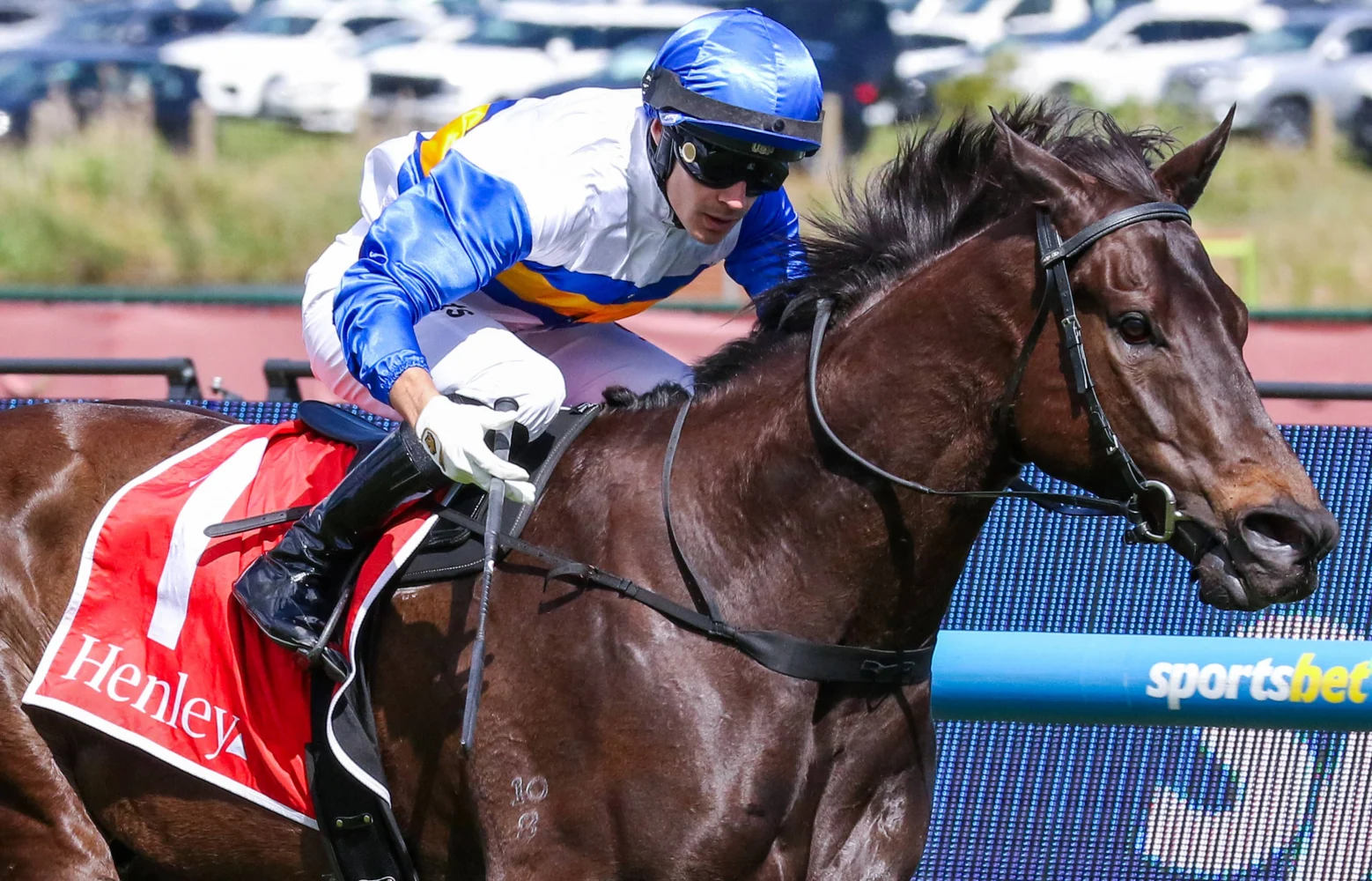 2026 Schillaci Stakes winner Jigsaw