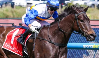 Jigsaw Continues Fairytale Sprinting Career with Dominant Schillaci Stakes 2026 Victory