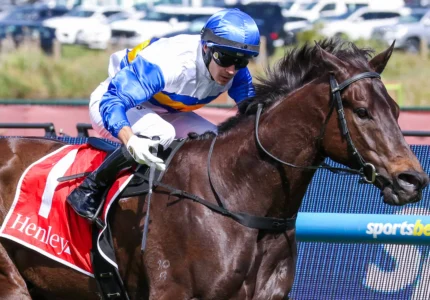 2026 Schillaci Stakes winner Jigsaw