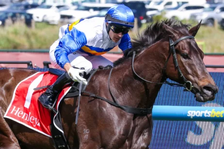 2026 Schillaci Stakes winner Jigsaw