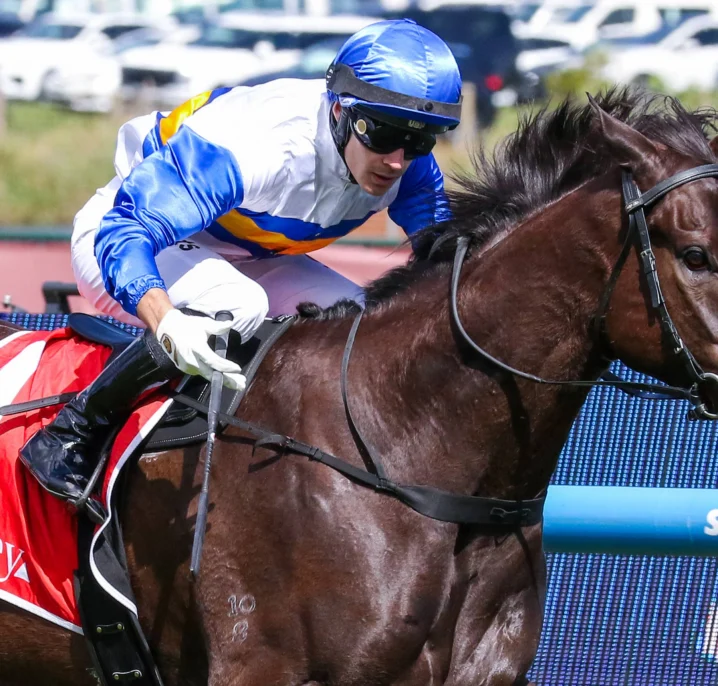 Jigsaw Continues Fairytale Sprinting Career with Dominant Schillaci Stakes 2026 Victory