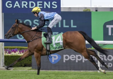 2026 Roman Consul Stakes winner Satono Glow