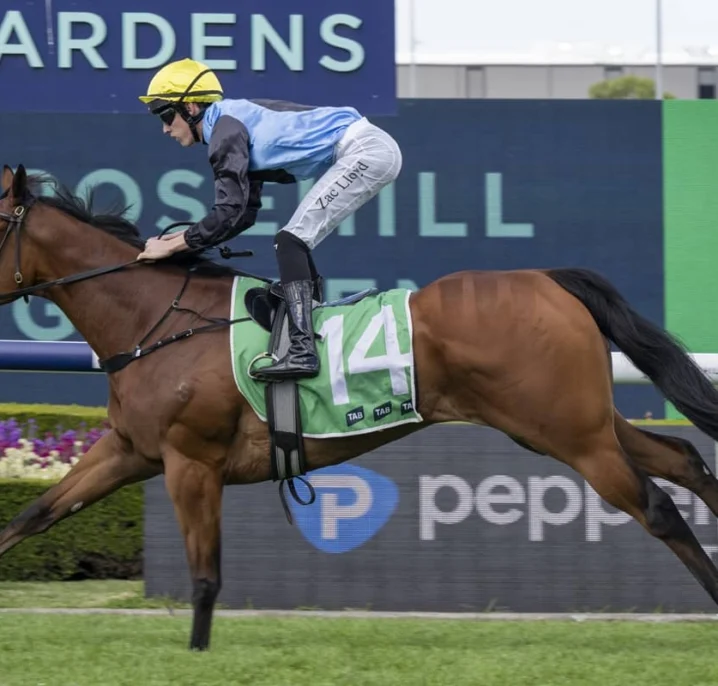 Satono Glow Books Coolmore Stud Stakes 2026 Shot with Roman Consul Triumph