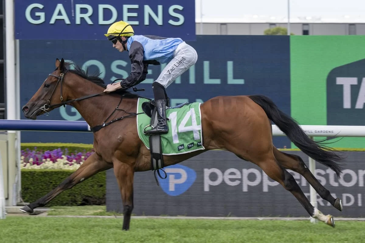 2026 Roman Consul Stakes winner Satono Glow