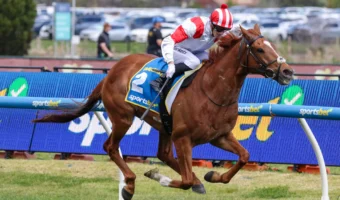 Land Legend Causes Group 1 Shock in Might And Power Results, Caulfield Cup Calling