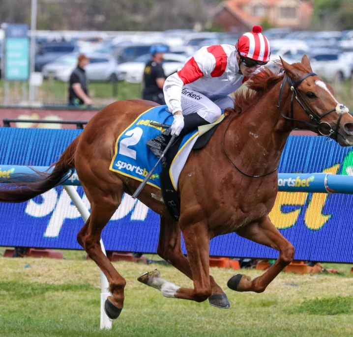 Land Legend Causes Group 1 Shock in Might And Power Results, Caulfield Cup Calling