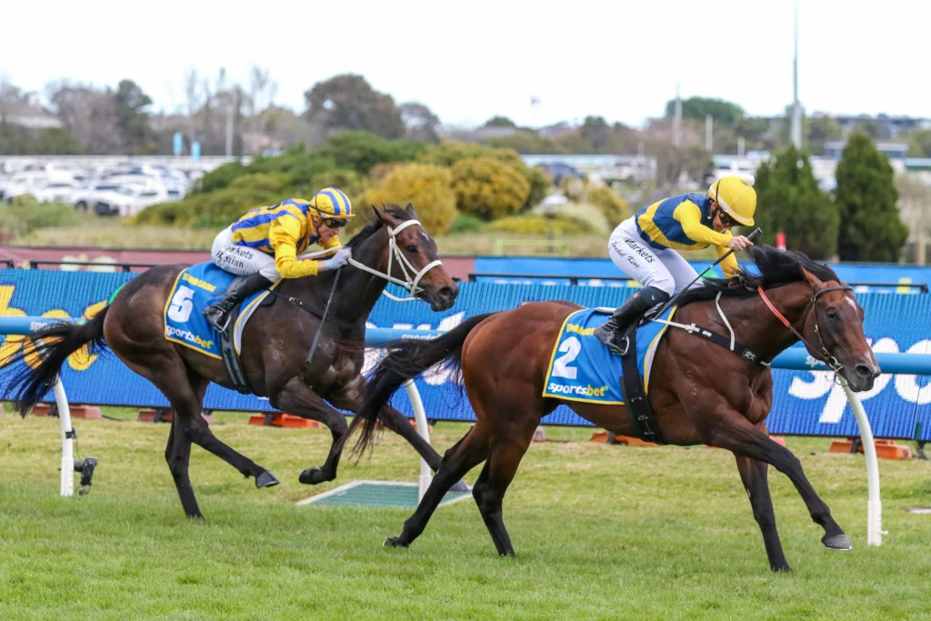 2026 Caulfield Guineas winner Warwoven