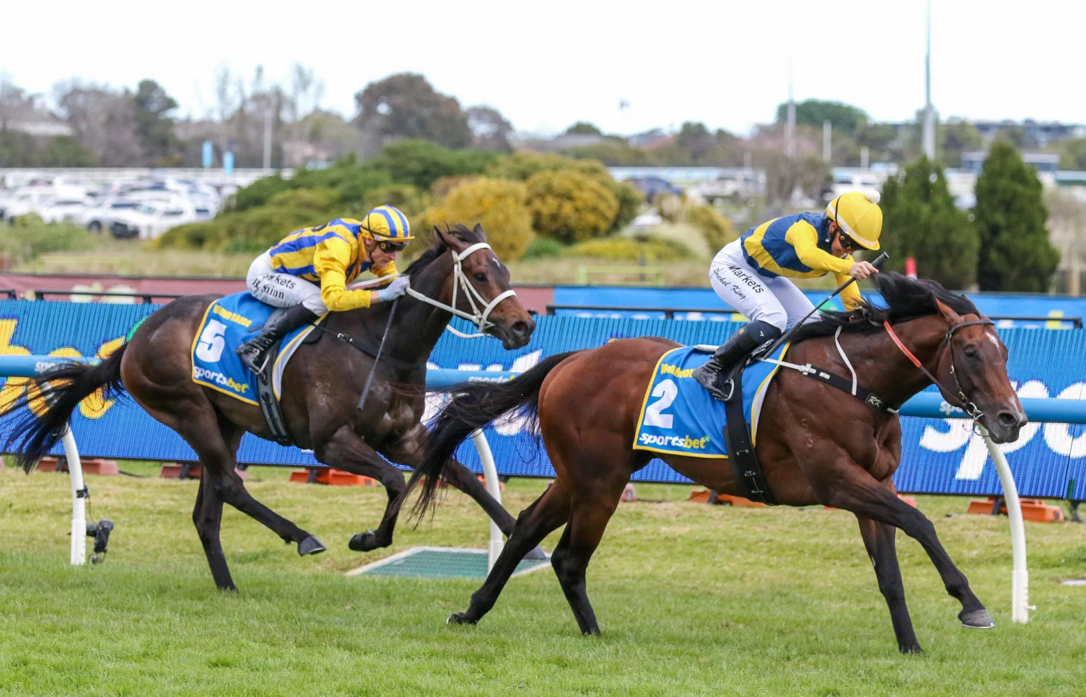 2026 Caulfield Guineas winner Warwoven
