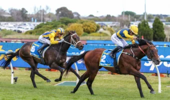 2026 Caulfield Guineas Results: Warwoven Dominates, Sets Sights on Cox Plate