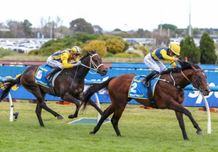 2026 Caulfield Guineas winner Warwoven