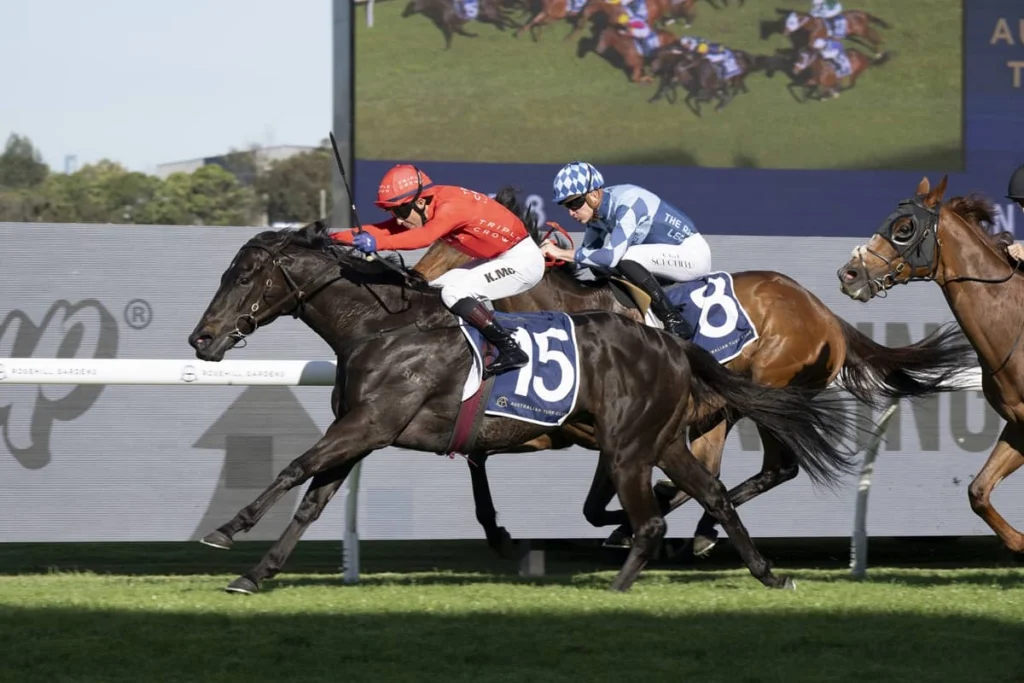 2026 Alan Brown Stakes winner Formal Display