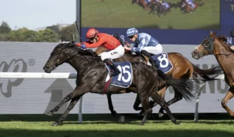 Formal Display Springs Alan Brown Stakes Upset, Strengthens 2026 Big Dance Claims