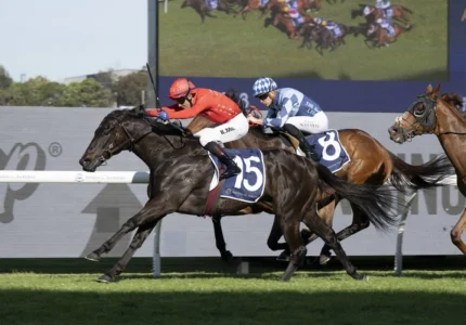 2026 Alan Brown Stakes winner Formal Display
