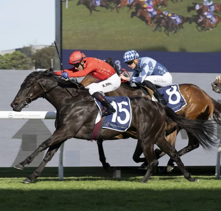 Formal Display Springs Alan Brown Stakes Upset, Strengthens 2026 Big Dance Claims