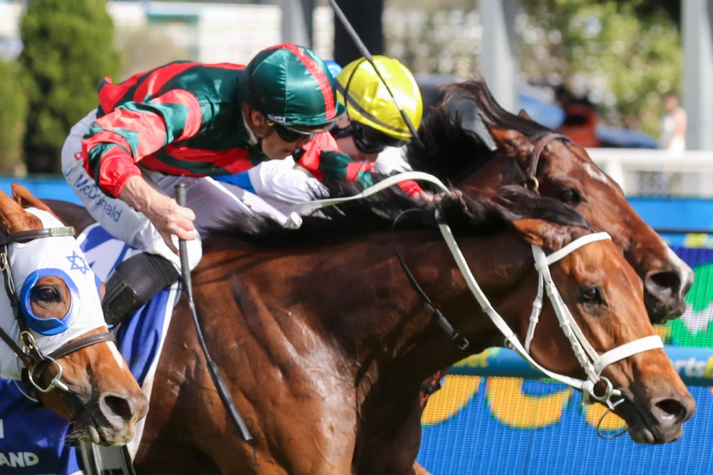 2026 Toorak Handicap winner Lady Shenandoah