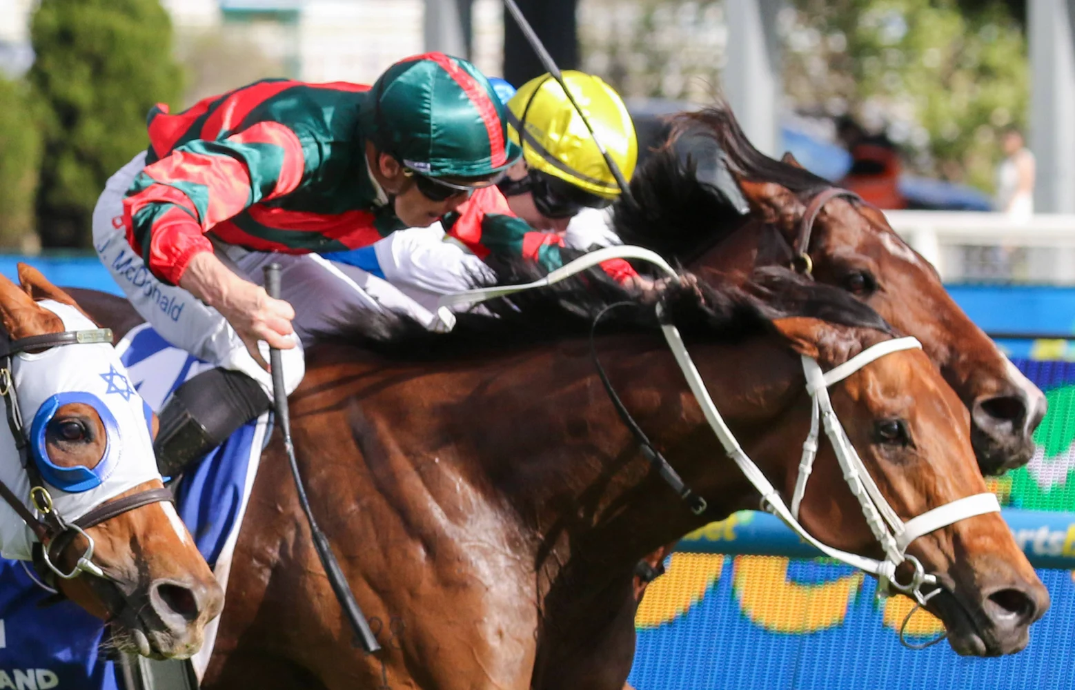 2026 Toorak Handicap winner Lady Shenandoah