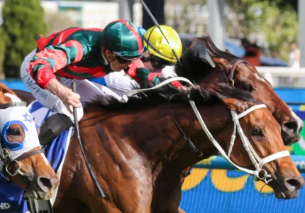 2026 Toorak Handicap winner Lady Shenandoah