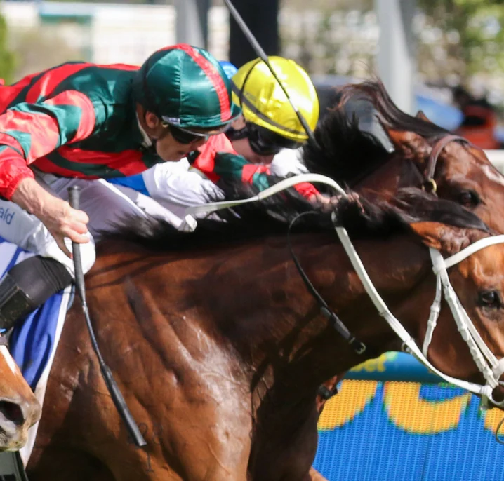 Lady Shenandoah Delivers 2026 Toorak Handicap Triumph for Waller and McDonald