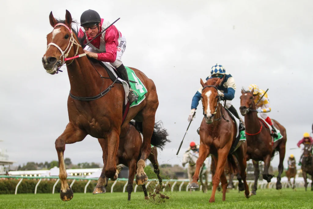 Caulfield Cup 2026 Tips & Best Bets: Cosmic Crusader
