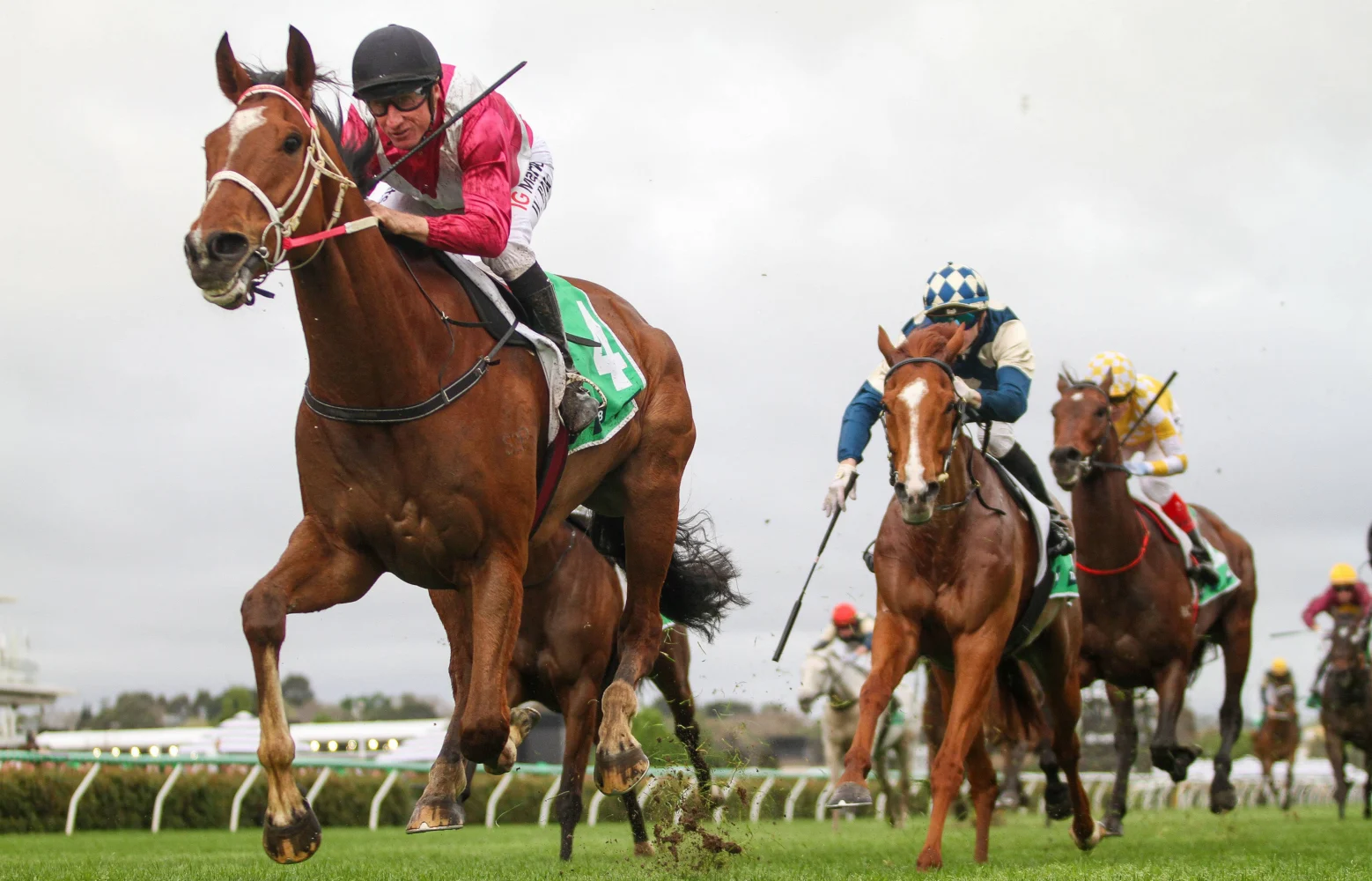 Caulfield Cup 2026 Tips & Best Bets: Cosmic Crusader