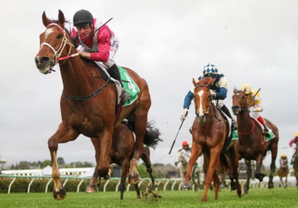 Caulfield Cup 2026 Tips & Best Bets: Cosmic Crusader
