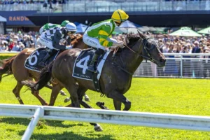 2026 ATC St Leger Stakes winner So You Are