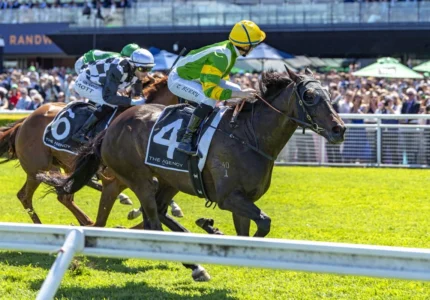 2026 ATC St Leger Stakes winner So You Are