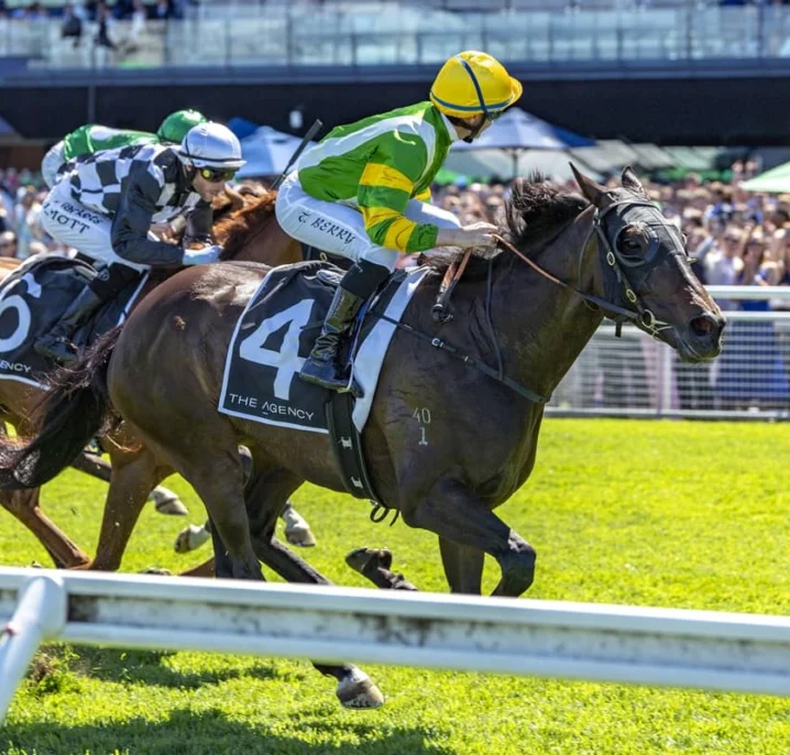 So You Are Strengthens Melbourne Cup 2026 Claims with Tough ATC St Leger Stakes Victory