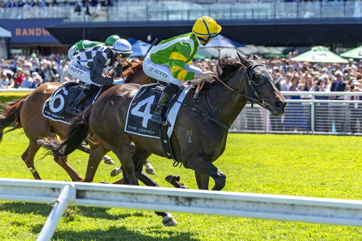 2026 ATC St Leger Stakes winner So You Are