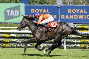 2026 Sydney Stakes winner Grafterburners