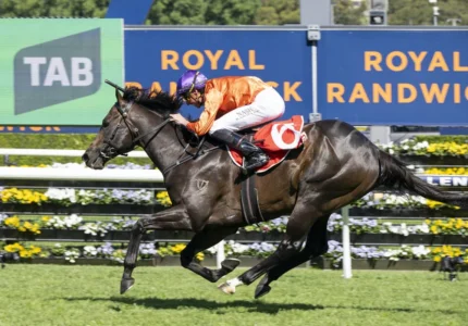 2026 Sydney Stakes winner Grafterburners