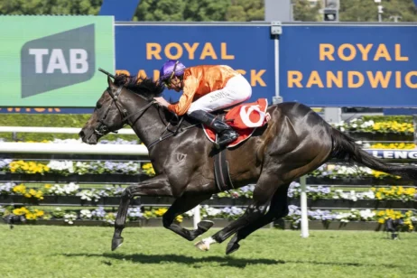 2026 Sydney Stakes winner Grafterburners