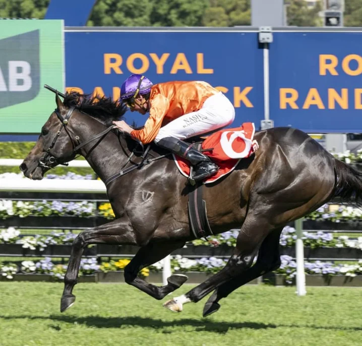 Grafterburners Stakes Champions Sprint 2026 Claim with Dominant Sydney Stakes Victory