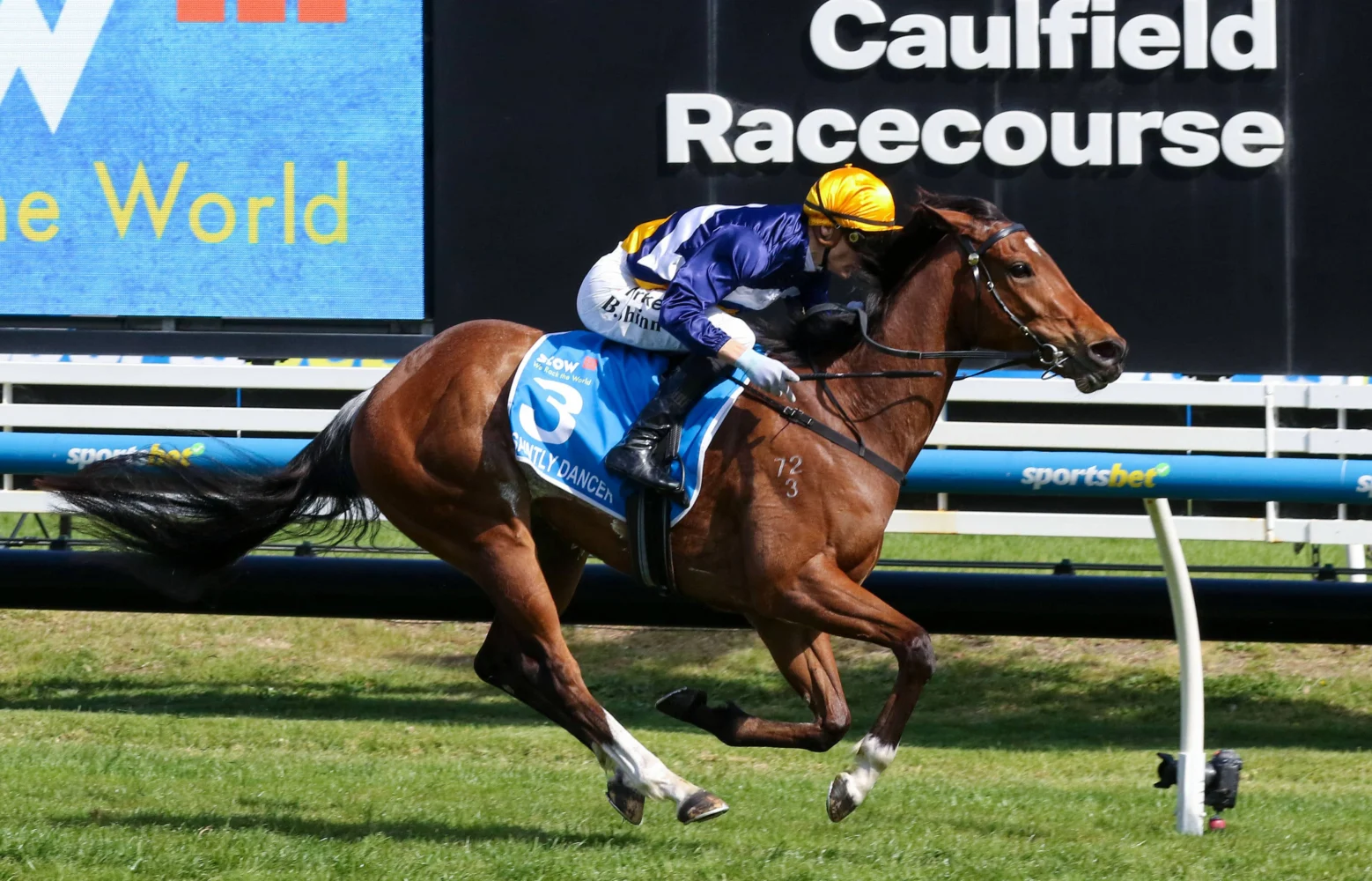 2026 Thousand Guineas winner Saintly Dancer
