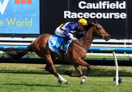 2026 Thousand Guineas winner Saintly Dancer