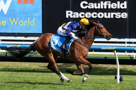 2026 Thousand Guineas winner Saintly Dancer