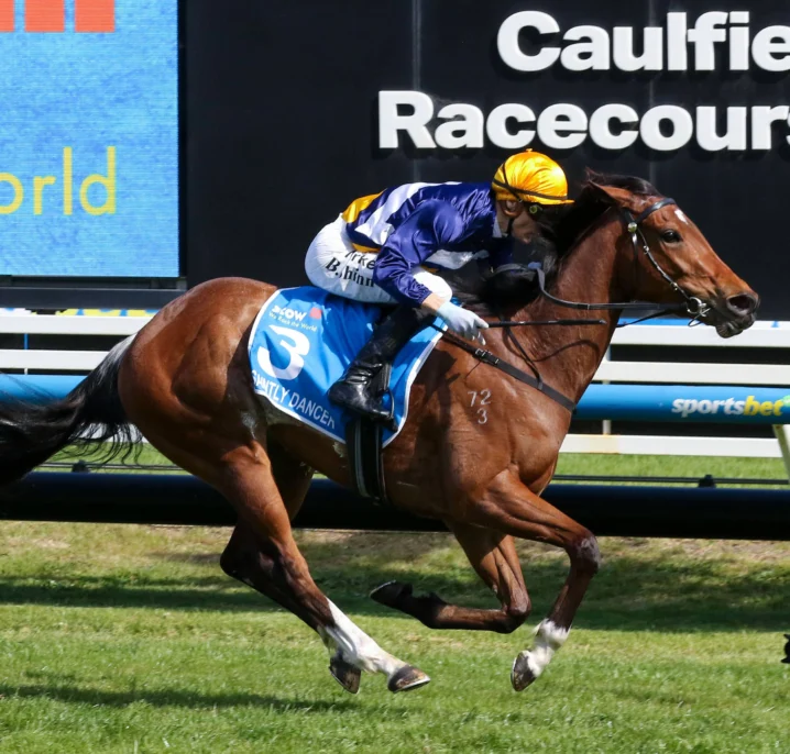 Saintly Dancer Delivers Thousand Guineas 2026 Glory for Maher