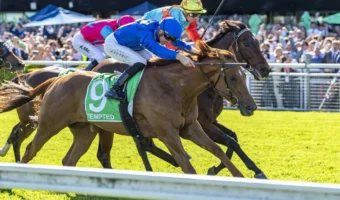 2026 The Everest Results: Tempted Topples Ka Ying Rising in Stunning Upset