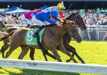 2026 The Everest winner Tempted