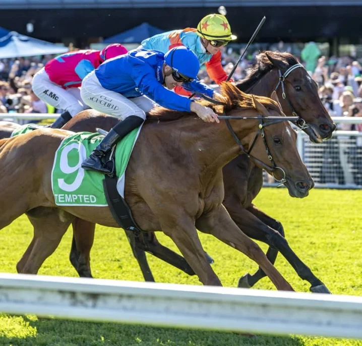 2026 The Everest Results: Tempted Topples Ka Ying Rising in Stunning Upset