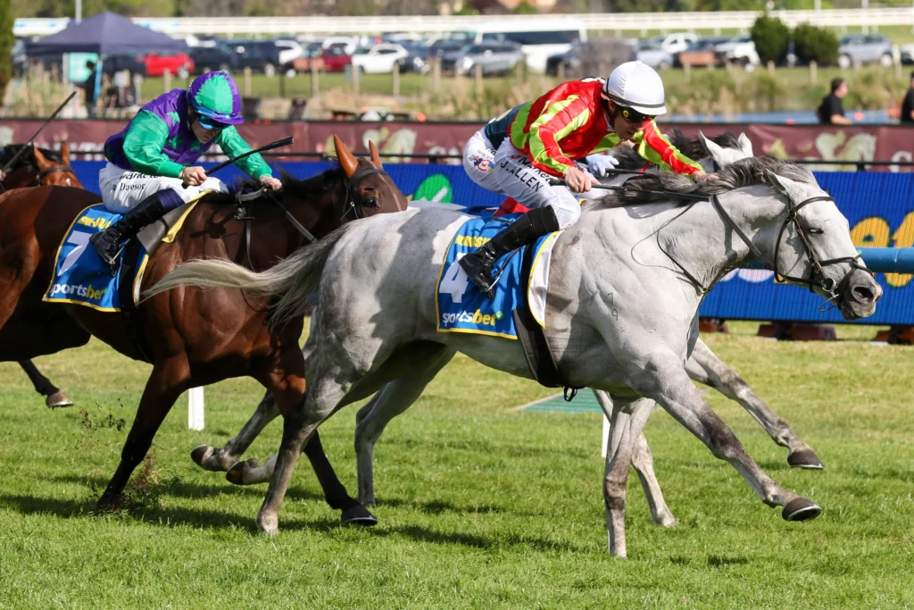 2026 Caulfield Cup winner Kingswood