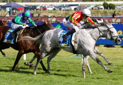 2026 Caulfield Cup winner Kingswood