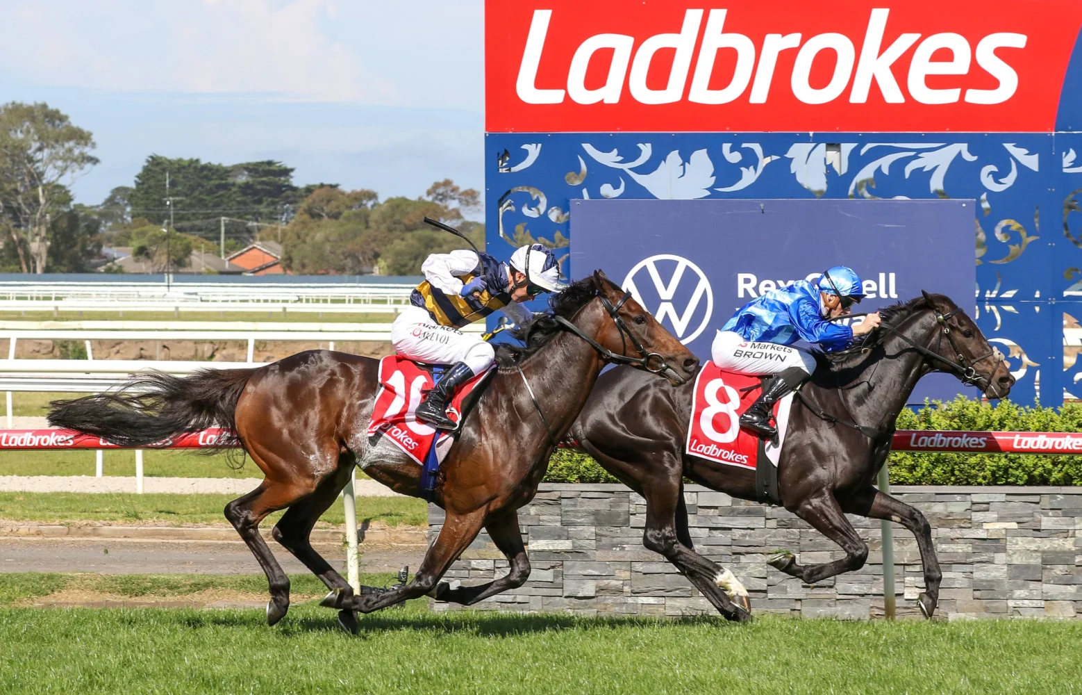 2026 Geelong Cup winner Point Of Law