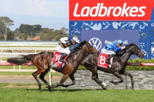 2026 Geelong Cup winner Point Of Law