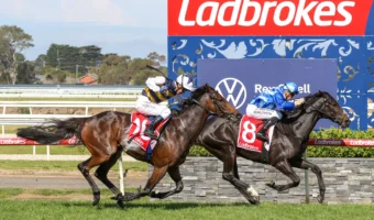 Point Of Law Rockets into Melbourne Cup 2026 Favouritism with Dominant Geelong Cup Triumph
