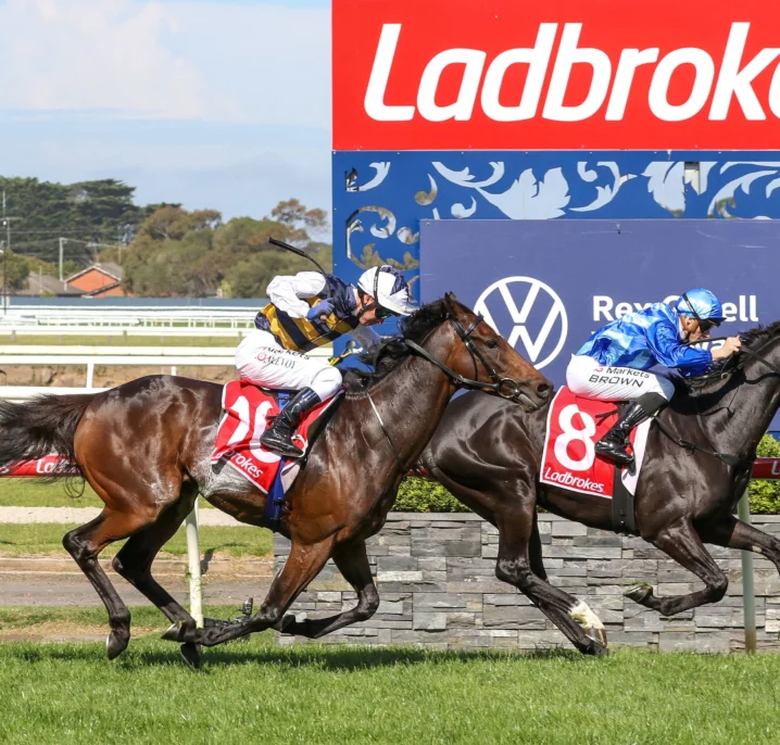 Point Of Law Rockets into Melbourne Cup 2026 Favouritism with Dominant Geelong Cup Triumph